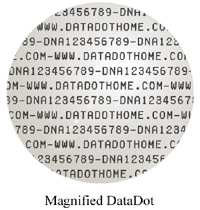 Magnified DataDot